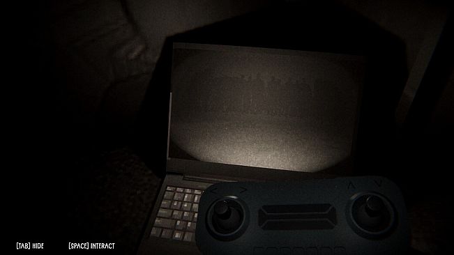 Borrowed Sight