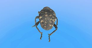 Retropy VR: Amazing Insects #1