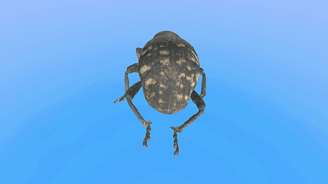 Retropy VR: Amazing Insects #1