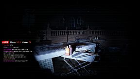 Madhouse Madness: Streamer's Fate