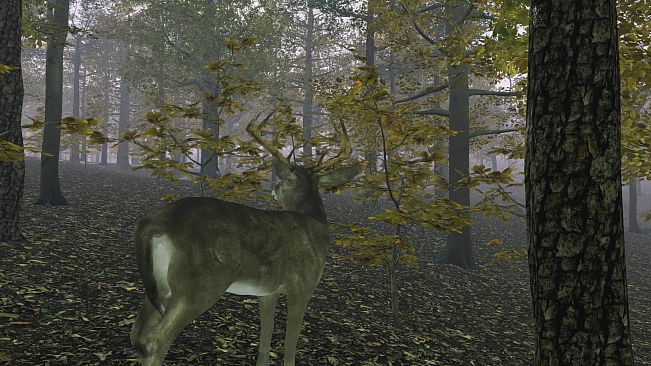 Pro Deer Hunting Out West