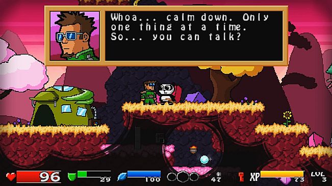 Super Panda Adventures