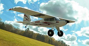 RealFlight Evolution - E-flite Timber 10-year Anniversary Edition 1.5m