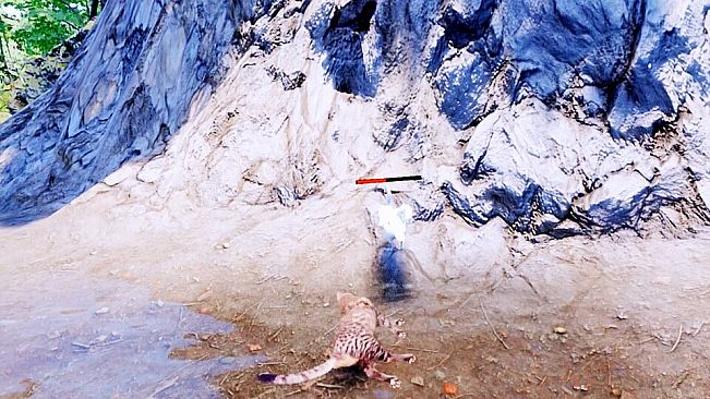 Forest Showdown：Cat Hero Battle