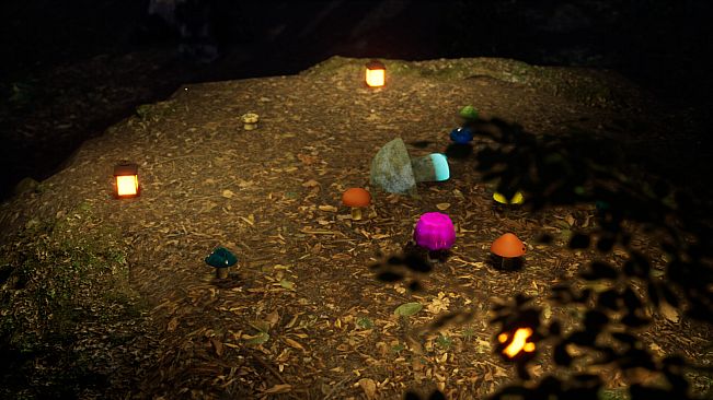 Bizarre Mushroom Cycle Simulator