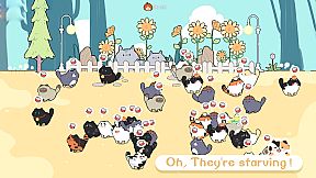 猫语拾光 Cat And Life