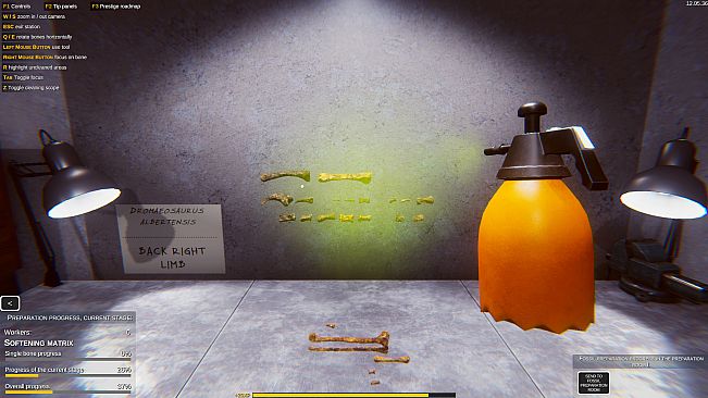 Dinosaur Fossil Hunter