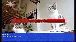 Cat President: A More Purrfect Union