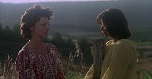 ROUGH KUTS: Savage Weekend