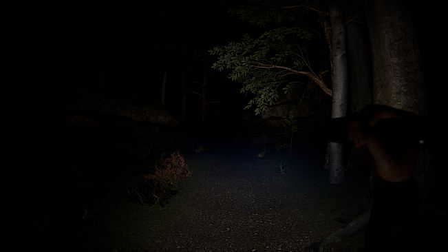 SCP Origins - Forgotten Steps