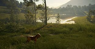 theHunter: Call of the Wild - Hunting Starter Bundle