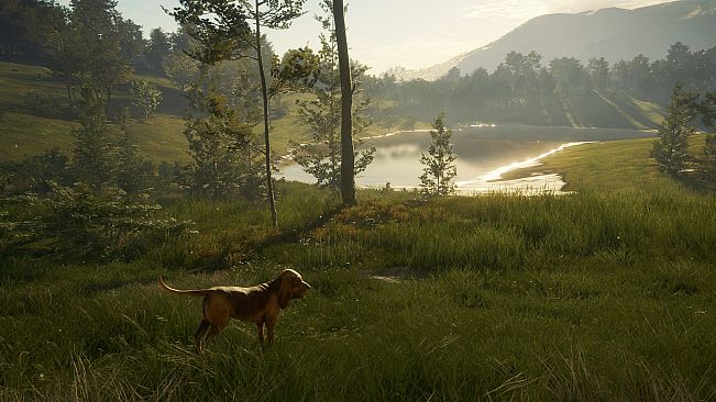 theHunter: Call of the Wild - Bloodhound - Windows 10