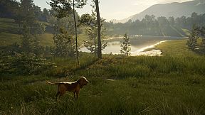 theHunter: Call of the Wild - Hunting Starter Bundle