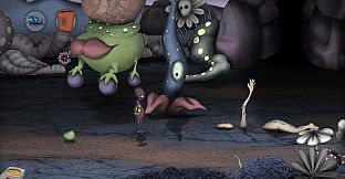 non - The First Warp