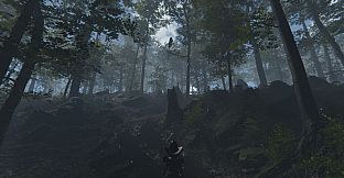 Deranged Park Rangers