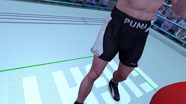 The Thrill Of The Fight 2 - Puma Original Black Shoes