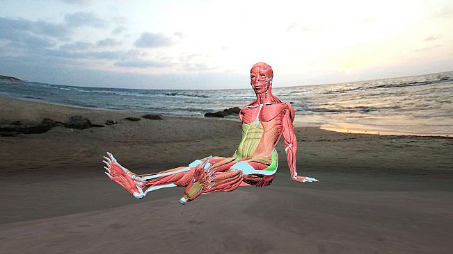 VirtuaLiron - Immersive YOGA practice