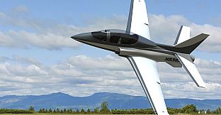 RealFlight Evolution - ViperJet