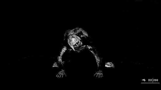 ASZG Project Director's Cut