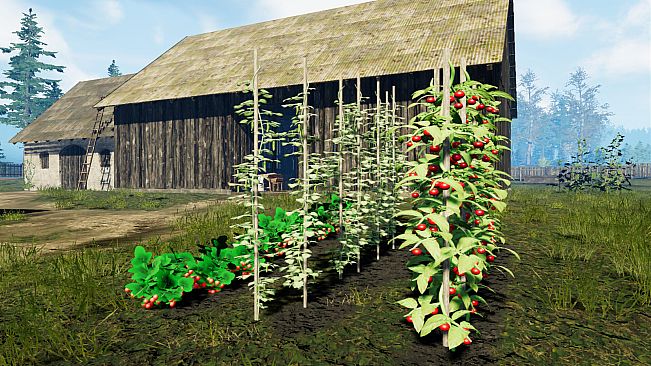 Farmer's Life: Spread the Bread DLC