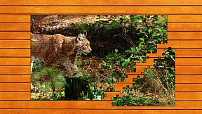 Wild Lynx Jigsaw