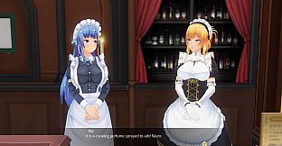 CUSTOM ORDER MAID 3D2 Overly Serious and Reserved Proper Lady GP-01