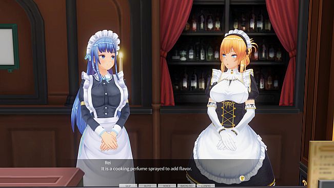 CUSTOM ORDER MAID 3D2 Overly Serious and Reserved Proper Lady GP-01