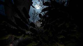 Caution Ahead: Part 1