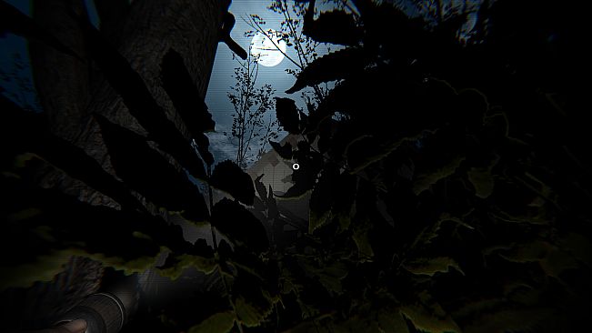 Caution Ahead: Part 1