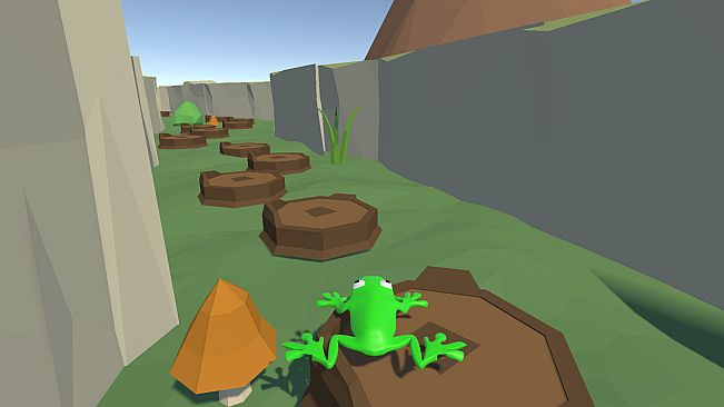 A frog in a small pond