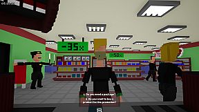 The Cassir Simulator