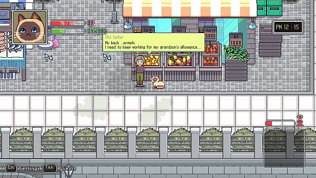 A Street Cat's Tale 2: Outside is Dangerous