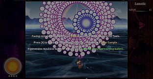 Touhou Iyuushou ~ What the Bullet Hell?!