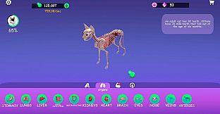 IDLE Animal Anatomy