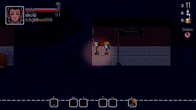 Story Of the Survivor