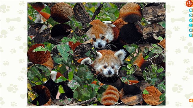 Puzzle Escapes: Paws & Claws