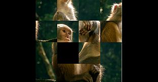 hgmGame-monkey