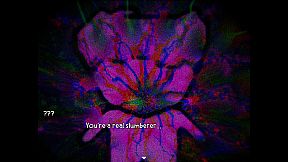 Slumberer's Universe