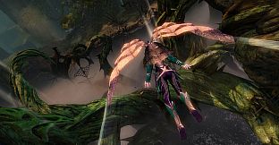 Guild Wars 2 Starter Pack