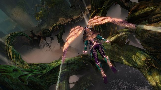 Guild Wars 2 Starter Pack