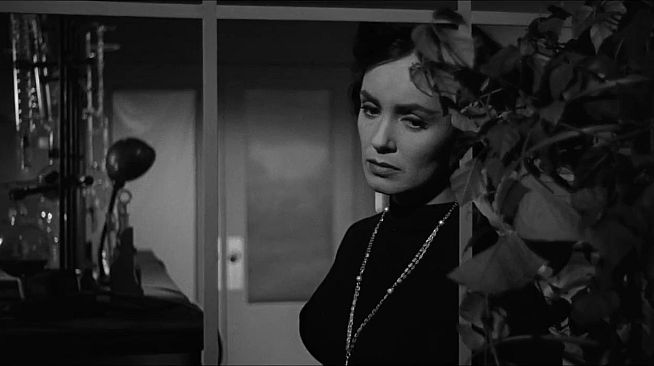 ROUGH KUTS: The Wasp Woman