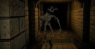 The Designer's Curse