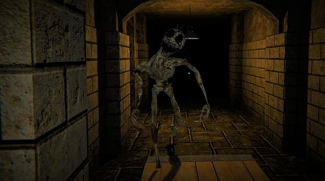 The Designer's Curse