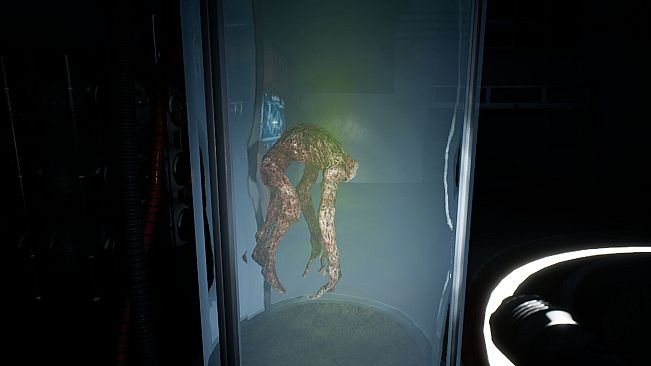 NULL ETERNITY: Last Contact