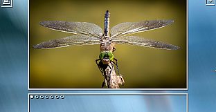 Super Jigsaw Puzzle: Generations - Bugs Puzzles