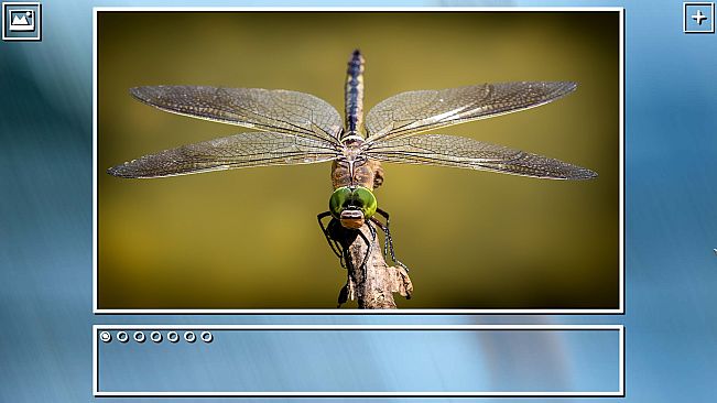 Super Jigsaw Puzzle: Generations - Bugs Puzzles