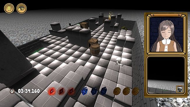 The Thief Girl ~ 盗賊少女 ~