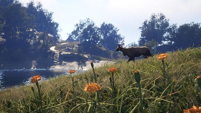 theHunter: Call of the Wild - Sundarpatan Nepal Hunting Reserve