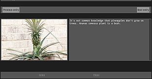 No men in this house