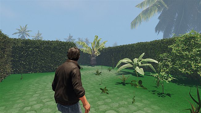 maze to the old castle